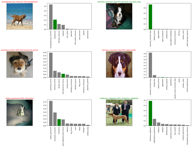 Dog Breed Classification