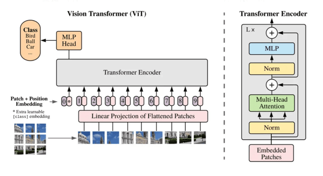ViT Paper Replication